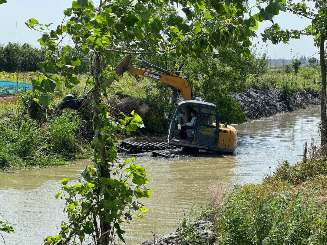 八年点名四次！“湖北之肾”洪湖水生态状况持续下滑，个别畜禽养殖企业对洪湖污染“贡献”大
