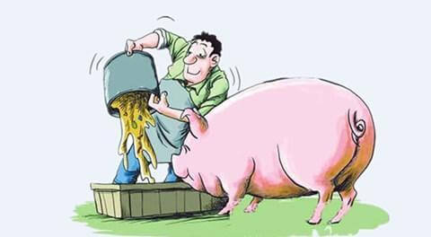 这个千头母电子游艺网站
不仅年产仔猪超2万，环保还特别有1套！