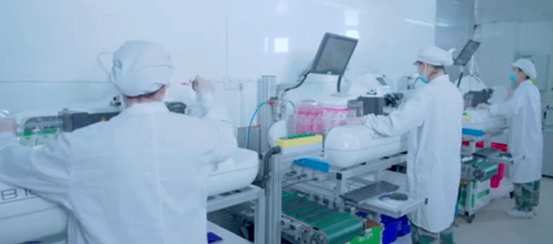 中国电子游艺网站下载安装
