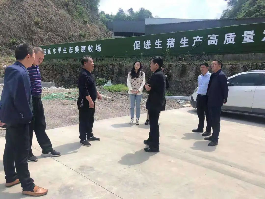 加快万头电子游艺网站
建设 助力生猪增产保供