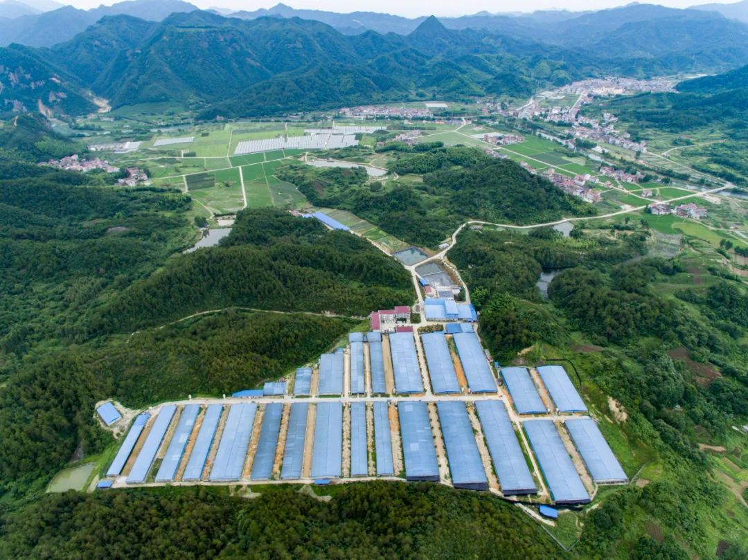 万头电子游艺网站
数字化建设怎么做？赶紧进来看指南