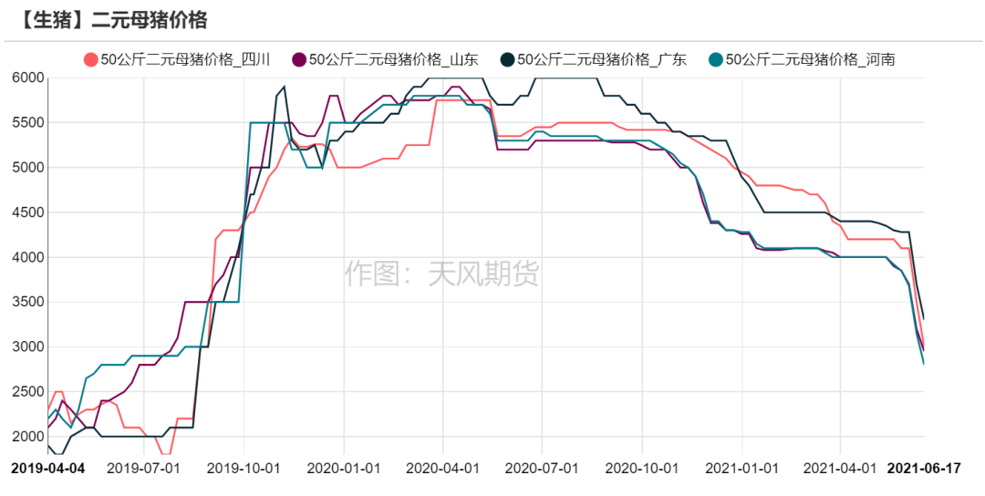 中国电子游艺网站下载安装
