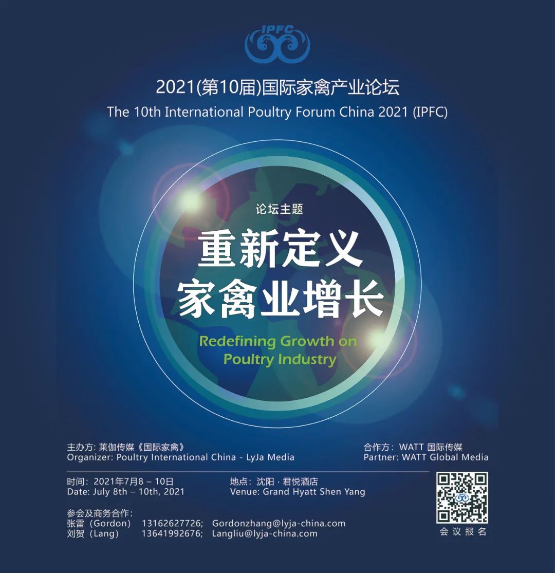 中国电子游艺网站下载安装
