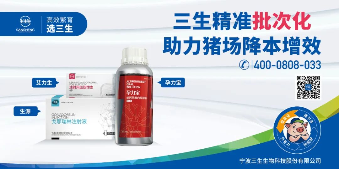 中国电子游艺网站下载安装
