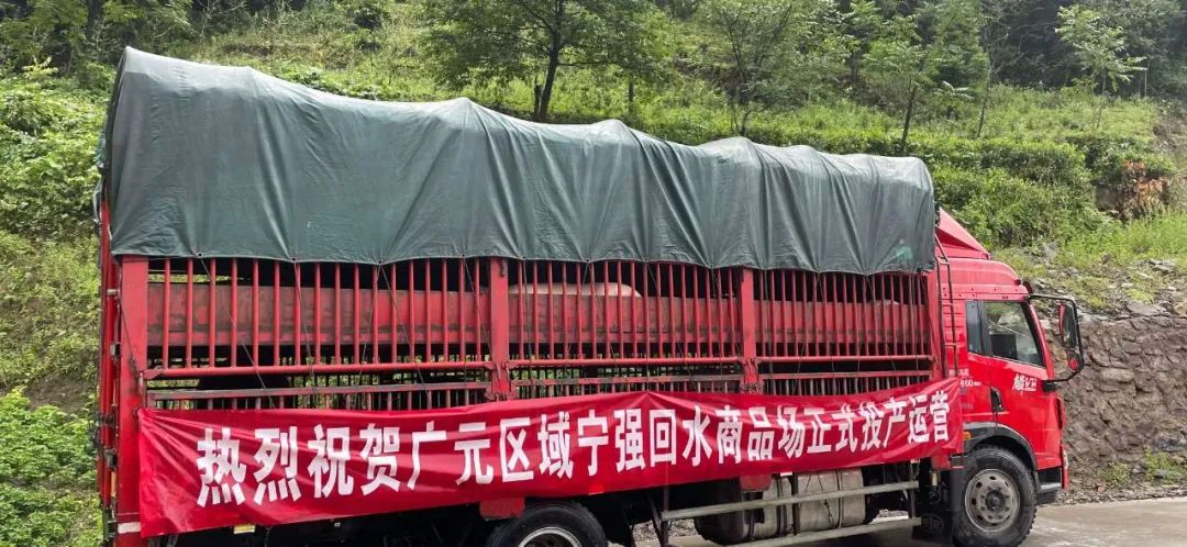 铁骑力士陕西首个种电子游艺网站
顺利投产，年出栏仔猪8万头！