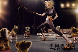 从马戏团悟企业管理