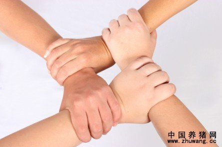 论企业文化落地“路径”