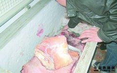 市民举报生产注水肉  黑心肉商被抓“注水现行”