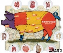 世界上最好吃的肉：西班牙黑电子游艺平台
