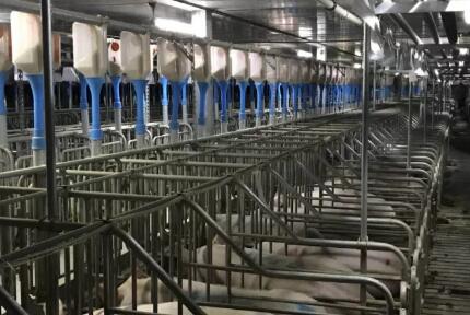 电子游艺网站
如何整体向批次生产模型转变？