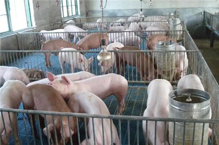 欲知精准批次化如何,且看宁波三生分解!