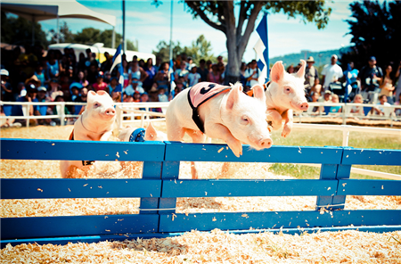 批次生产如何才能做到满负荷而又均衡?一次给你讲透