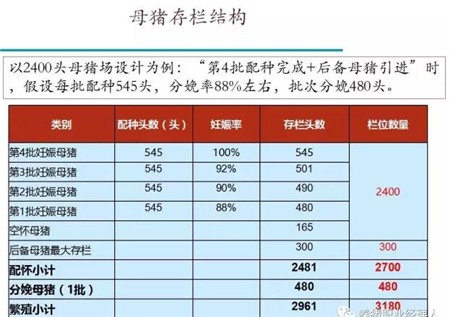 中国电子游艺网站下载安装
