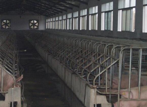 电子游艺网站
建造4大忌，看看哪儿个你没注意！