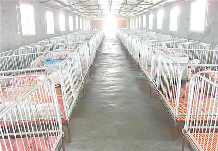 规模养电子游艺网站
挑选智能化设备，该了解的几点？