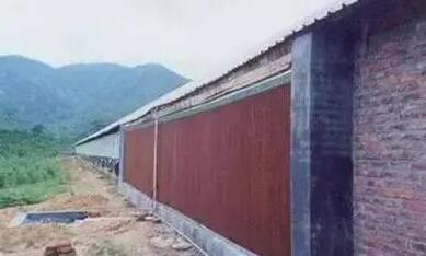 小型养电子游艺网站
需要哪些常用的设备？养猪人你知道吗？