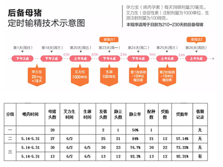 中国电子游艺网站下载安装
