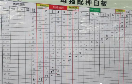 中国电子游艺网站下载安装
