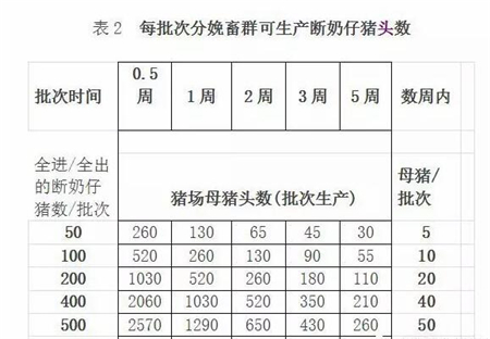 中国电子游艺网站下载安装
