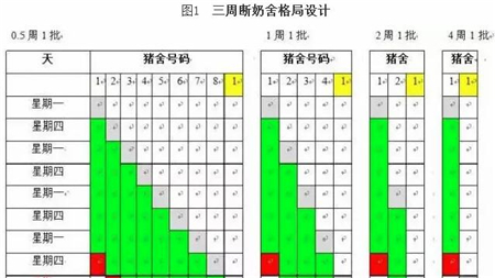 中国电子游艺网站下载安装