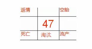 中国电子游艺网站下载安装
