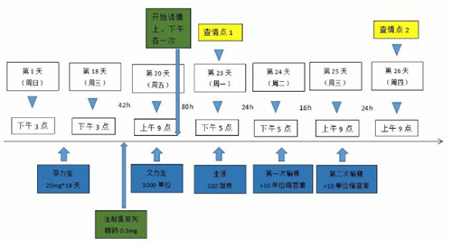 中国电子游艺网站下载安装
