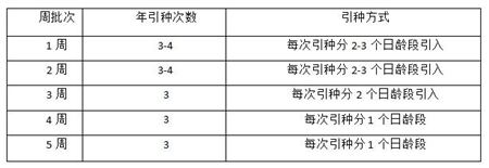 中国电子游艺网站下载安装

