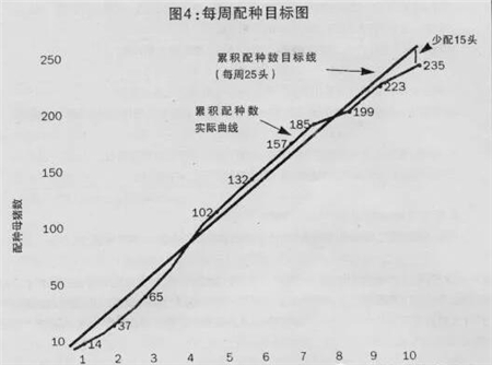 中国电子游艺网站下载安装
