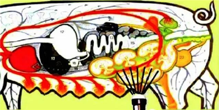 中国电子游艺网站下载安装