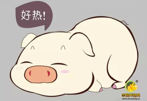 研究：妊娠前期热应激可改变后代的生长及身体组成