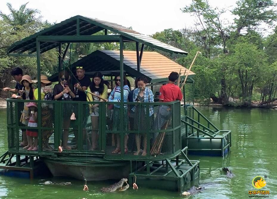 政府负责人对进一步加强安全措施提出改进意见，如增加船只的马力，捆绑绳子明确标明线路。