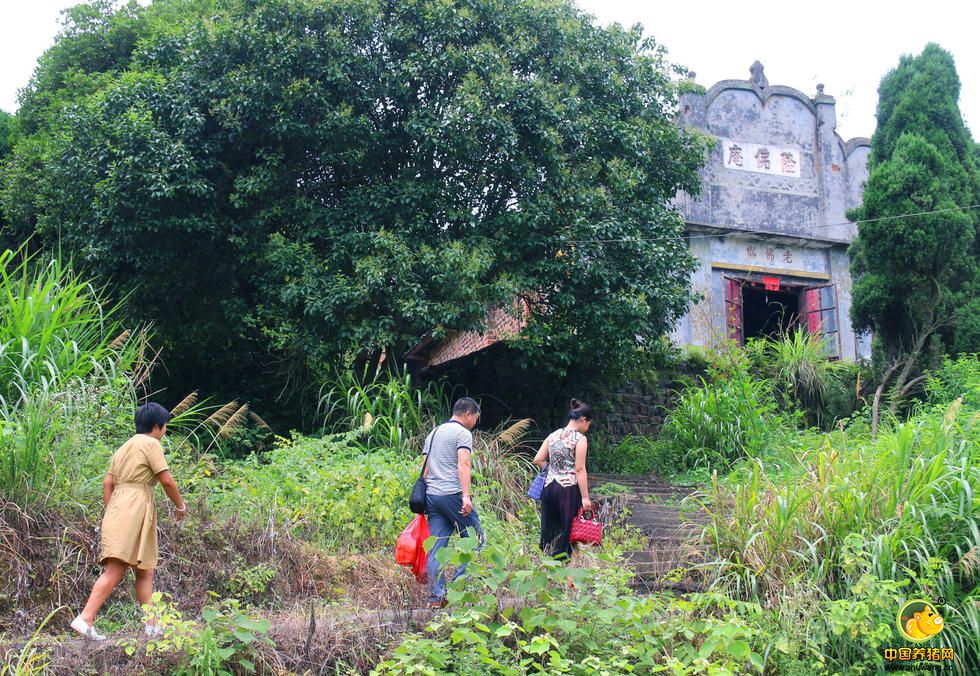 派出所的说法让朱悯悠有些难过，她表示自己本身就是被父母遗弃的女婴哪有这些东西？再说她一直在隆佛庵长大“与世隔绝”，人口普查都经历了好几次没人进庵登记，也不知道外面有什么人口普查，更别说其他证件。对此，郴州市公安局人口与出入境管理支队领导成序给出了答复，根据湖南省常住户口登记管理办法，朱悯悠的处境符合第六十七条进行补登。