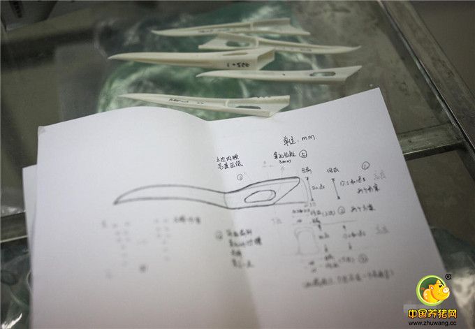 在接下来一个多月的准备时间里，合作三方每天都进行沟通联系，对丹顶鹤上喙的解剖结构、断端和人工力学等方面进行精确的测绘和考证。经过7次的塑料模具安装测试后，最终的数据被送往华工，利用其最先进的3D打印机制作钛合金假体。图为模具的图纸和材料，为了准确还原和“立立”缺损的上喙，每一项数据都必须十分精确。
