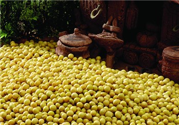 市场预期出现变化 国储大豆竞拍成交率下滑