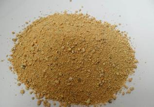 豆粕期货“天气市”尚未结束 气候仍是焦点