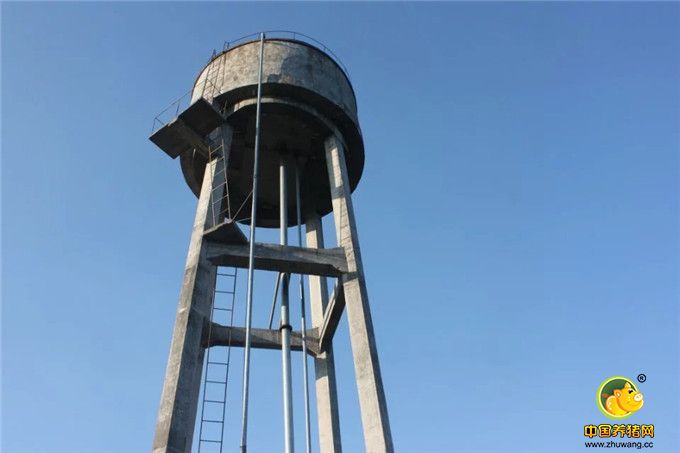 河源兴泰种猪有限公司