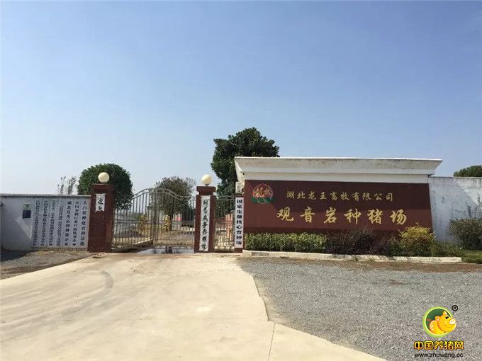 2015电子游艺网站
之旅——拜访湖北龙王畜牧有限公司