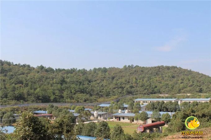 2015电子游艺网站
之旅——拜访湖北龙王畜牧有限公司