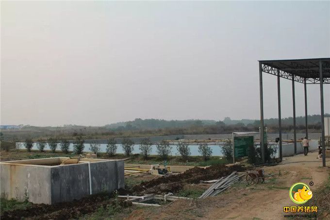 2015电子游艺网站
之旅——拜访湖北龙王畜牧有限公司