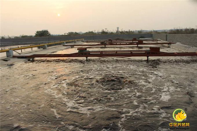 2015电子游艺网站
之旅——拜访湖北龙王畜牧有限公司