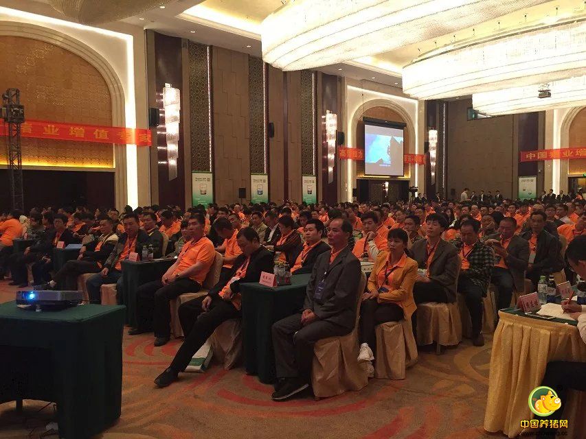 道勤-罗牛山中国猪业增值高峰论坛