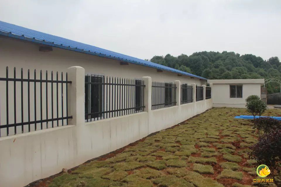 临澧天心种业——生态环保型种电子游艺网站
