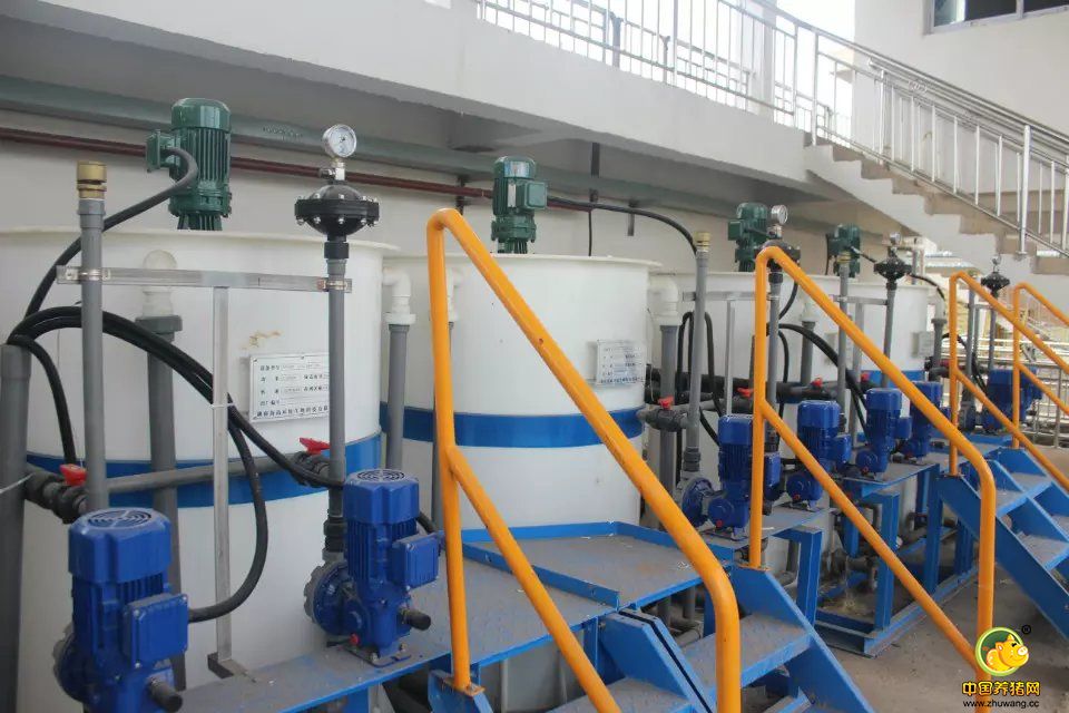 临澧天心种业——生态环保型种电子游艺网站
