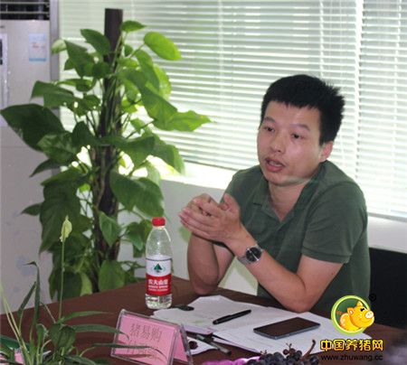 猪易购运营总监付强强发言