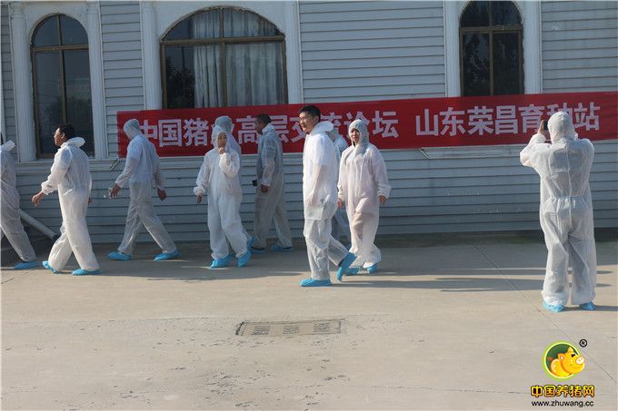 大家准备进入猪舍