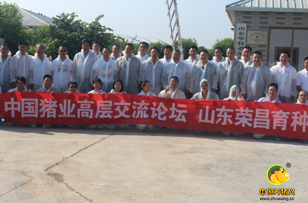 《中国猪业高层交流论坛》线下活动山东站之（三）荣昌育种