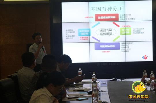《中国猪业高层交流论坛》线下活动山东站之（三）荣昌育种