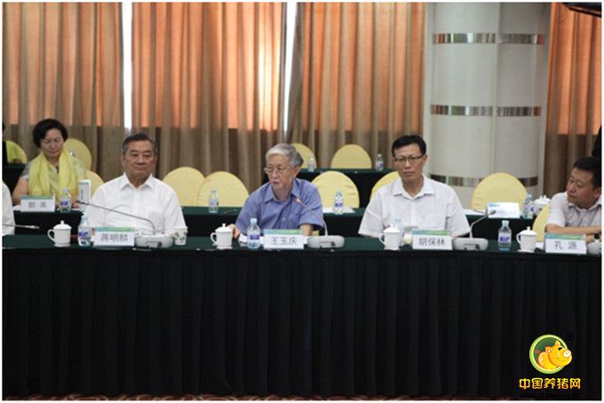 安佑生态产业链及环保电子游艺平台
贡丸广受关注