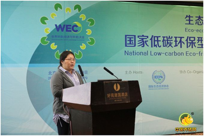 安佑生态产业链及环保电子游艺平台
贡丸广受关注