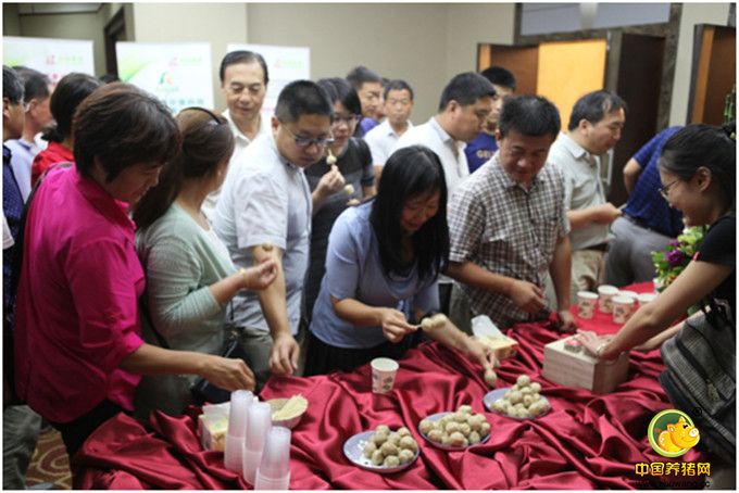 安佑生态产业链及环保电子游艺平台
贡丸广受关注
